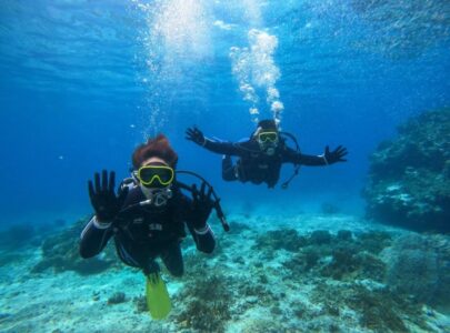 【石垣島発/新城島開催/1日】人魚伝説残る『パナリ島』で特別な体験を☆初心者大歓迎！体験ダイビングツアー★ランチ付き