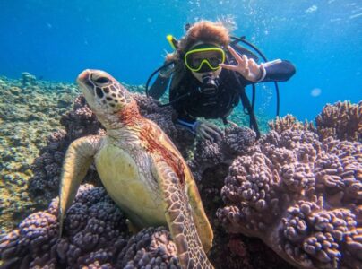 【石垣島発/新城島開催/1日】人魚伝説残る『パナリ島』で特別な体験を☆初心者大歓迎！体験ダイビングツアー★ランチ付き