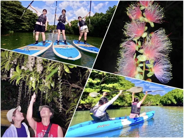 石垣島のアクティビティ（SUP・カヤック）とサガリバナ鑑賞ツアーのまとめ。
