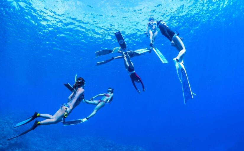 石垣島スキンダイビング