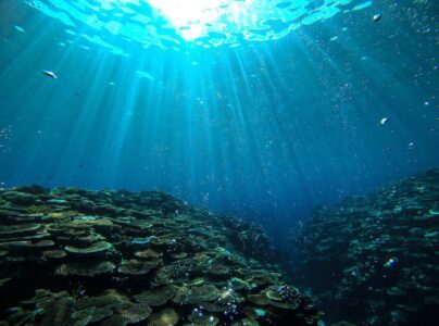 【南バラス島＋サンゴ 方面】貸切チャーター／シュノーケルプラン☆「奇跡の島」南バラス島を満喫しよう！SUPやBBQも♪ランチ＆写真付き