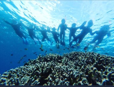 【石垣島/1日】遭遇率90%以上！マンタorウミガメシュノーケリング＆幻の島上陸＆体験ダイビングツアー☆初心者歓迎＜水中写真＆送迎付き＞少人数制で安心♪