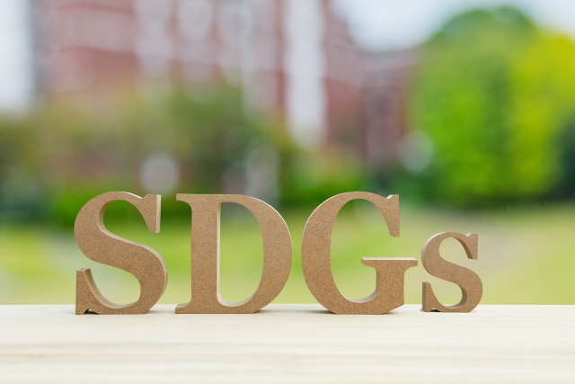 石垣島のSDGsの取り組みとは？SDGsを学べるチームビルディングプログラムもご紹介！