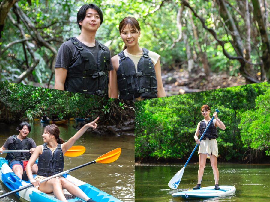 西表島マングローブSUP、カヌー、ガイドサポート