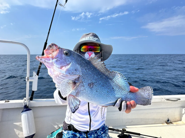 ルアーフィッシング　半日