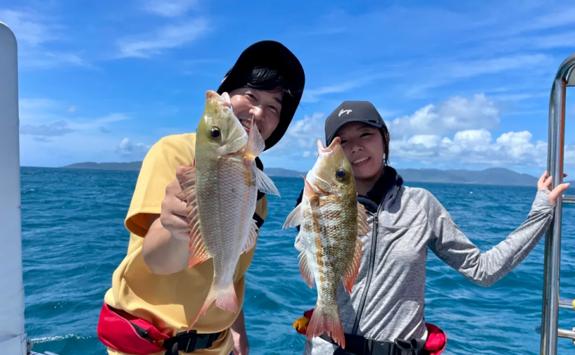 ルアーフィッシング　半日