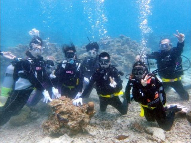 【石垣島/半日】＜初心者OK☆2ダイブ＞水中世界へダイビングで出発！たっぷり楽しみたい方はこちら♪《少人数制・器材レンタル込み》（No.515）