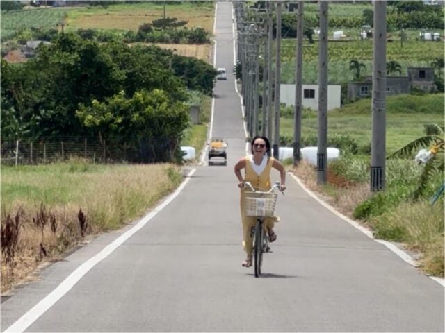 サイクリング　自転車