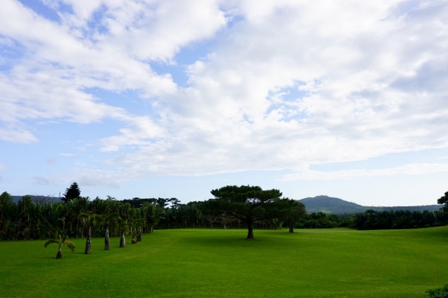 石垣島の芝生、石垣島やいま村
