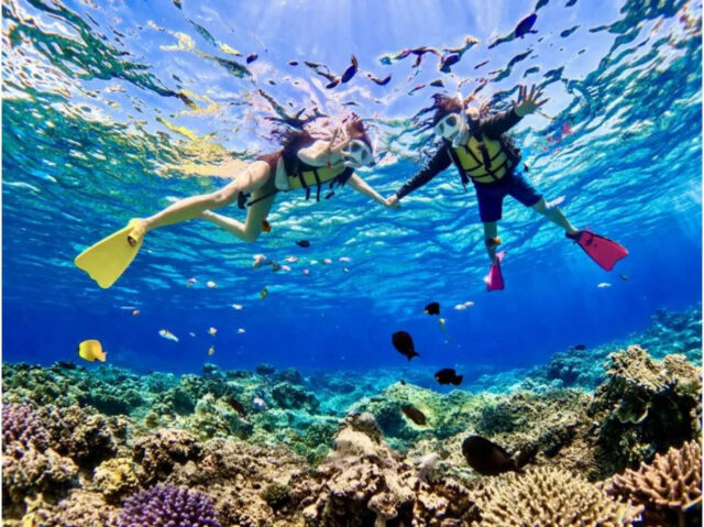 シュノーケリング
