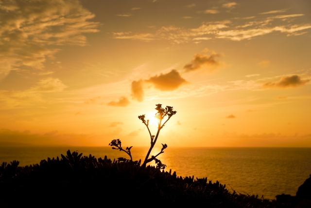御神崎の夕焼け