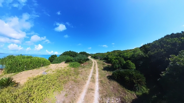 鳩間島　観光　日帰りモデルコース