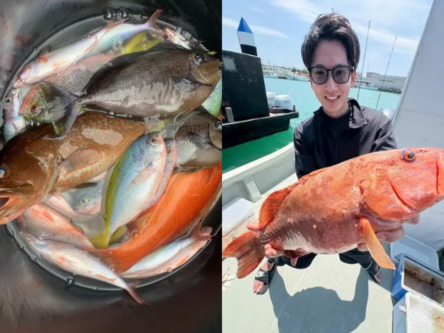石垣島で楽しむ釣り体験とカラフルな魚