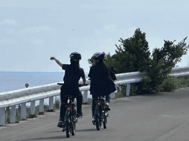 石垣島の自然を満喫するサイクリングツアー