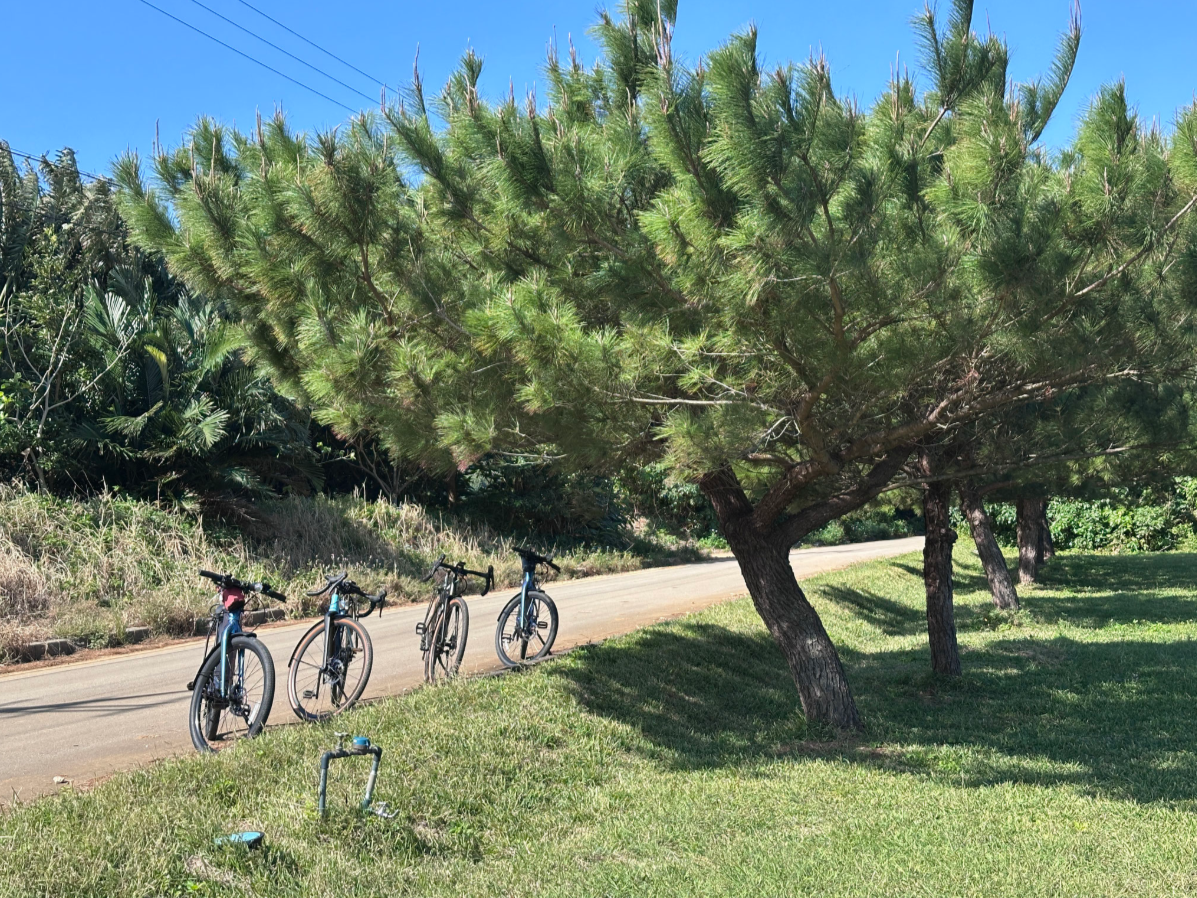 【石垣島/3時間】知られざる崎枝半島の絶景と歴史！サイクリングで巡る観光ガイドツアー☆電動アシスト付きで楽々移動《初心者歓迎/レンタサイクル付き》（No.260）