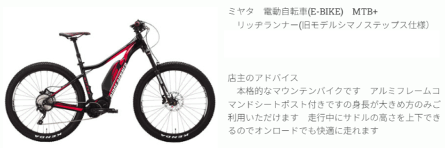 サイクリング レンタサイクル 自転車