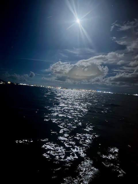 【夜開催/2時間】手ぶらでOK！星空×海の夜釣りクルーズ☆非日常のナイトフィッシング体験《当日予約可》（No.285）