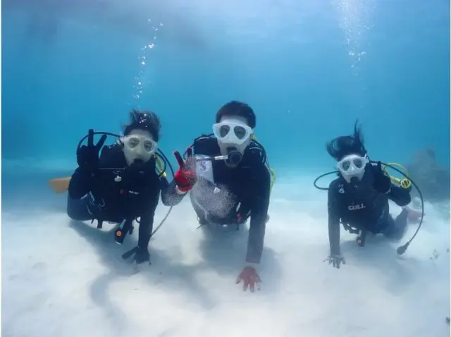 石垣島　ダイビング　シュノーケル