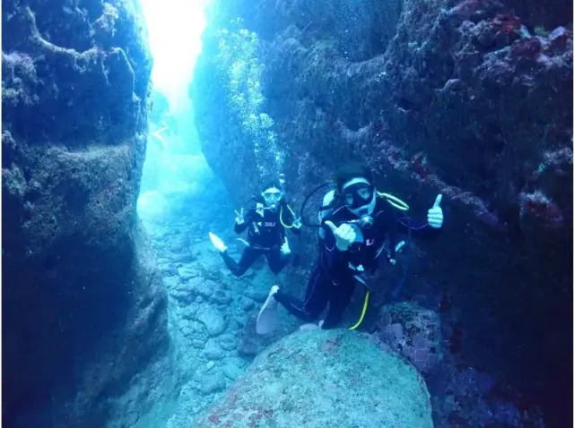 石垣島　ファンダイビング