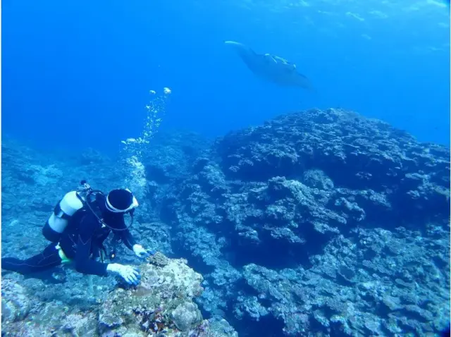 石垣島　ファンダイビング