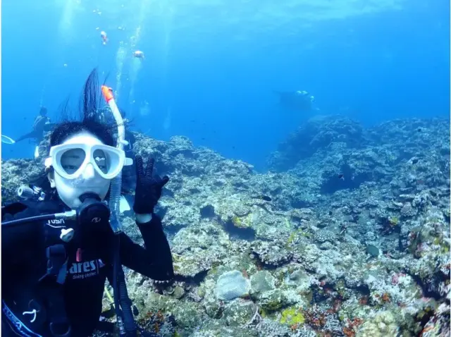 石垣島　ダイビングショップ