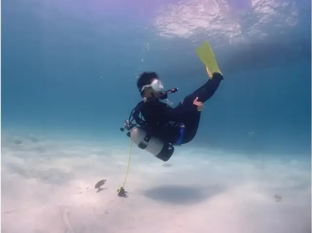 石垣島　ライセンス　 ダイビング