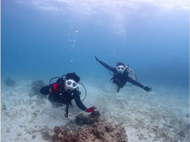 石垣島　シュノーケル　ダイビング
