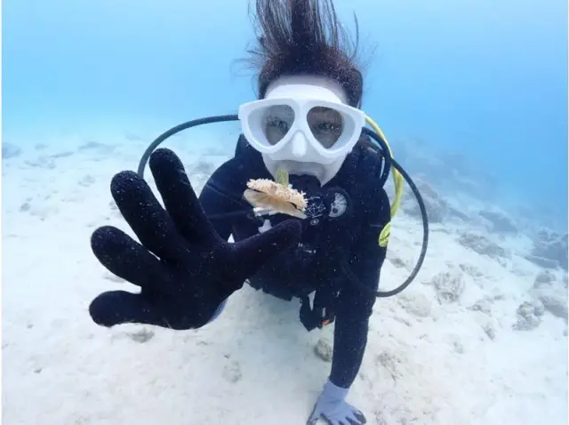 石垣島　ダイビング