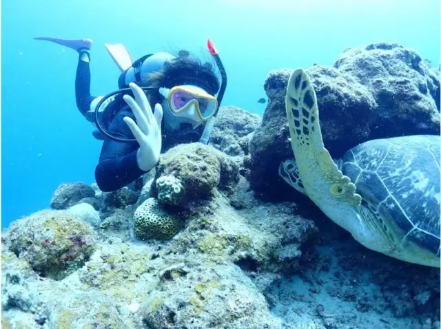 石垣島　ウミガメ　ダイビング