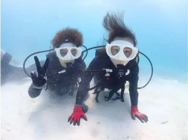 石垣島　ダイビング