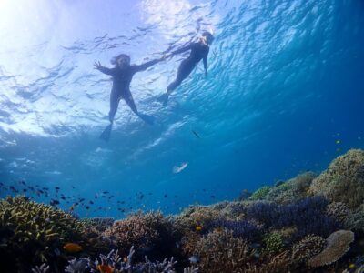 【石垣島/1日】人気3ポイントを巡る☆幻の島上陸＆石西礁湖＆ウミガメシュノーケリングツアー《GoPro無料レンタル＆ランチ付き》初心者専門の丁寧なツアー