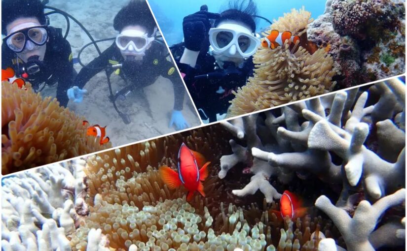 【石垣島/半日】1人旅女子に大人気！午前コース♪女性ガイドがご案内する初心者専門ダイビング《写真無料＆送迎付き》（No.249）