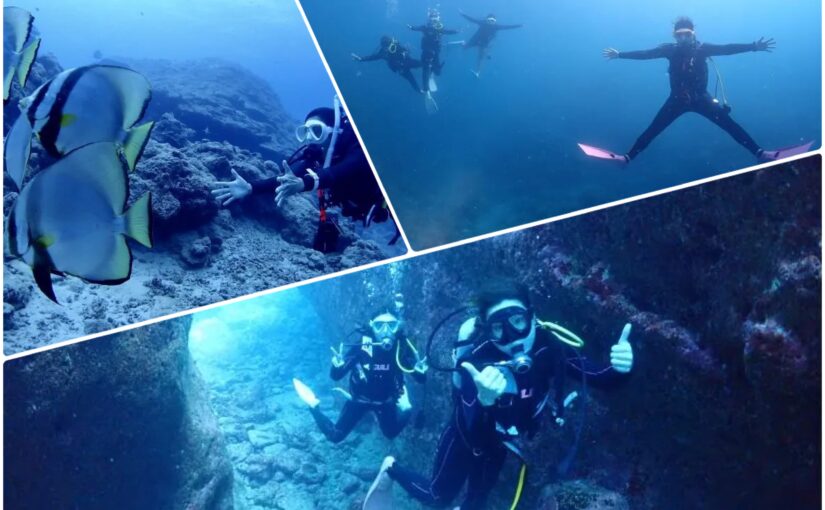 【石垣島/1日】満足度重視☆3ダイブファンダイビング！Cカード必須ツアー《女性ガイド同行・無料送迎》（No.243）