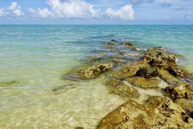 石垣島　魚の見える岩場