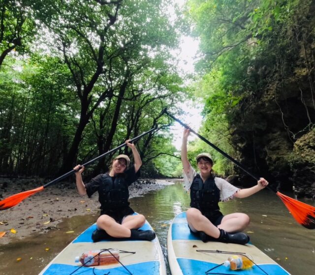 マングローブsup