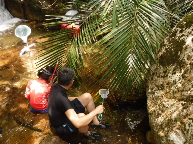 【石垣島/半日/小雨OK♪】選べる！山登りor渓流トレッキングツアー☆《貸切オプション・無料送迎付き》（No.296）