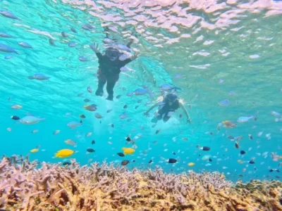 【石垣島】1日貸切チャーター／シュノーケリングプラン☆幻の島＆ウミガメポイントもリクエストOK！SUPやBBQも♪ランチ＆写真付き（No.279）