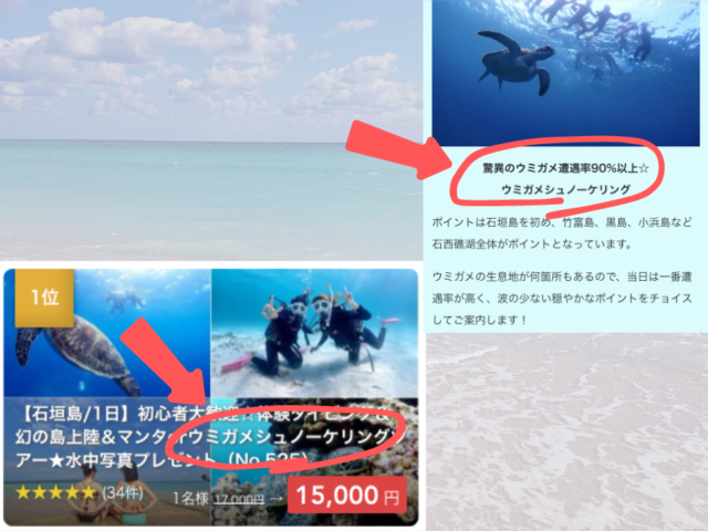 ウミガメと一緒に泳ごう！石垣島のウミガメ遭遇ポイントやおすすめツアーを徹底解説