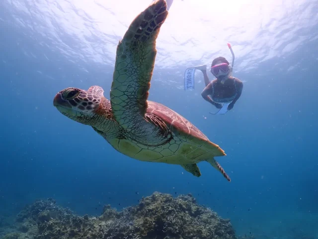 石垣島旅行を120％楽しむ持ち物チェックリスト！忘れたら後悔するもの＆あると便利なアイテムを紹介