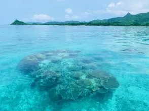 【石垣島/半日貸切】船長歴10年以上☆船釣りボートチャータープラン＜5歳から参加OK！魚持ち帰り可能＞簡単サビキ釣りでどんどん釣れる♪（No.296）