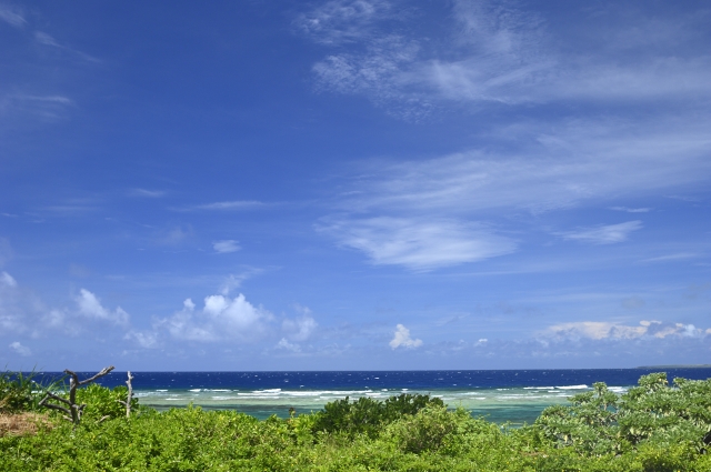 仲本海岸　黒島