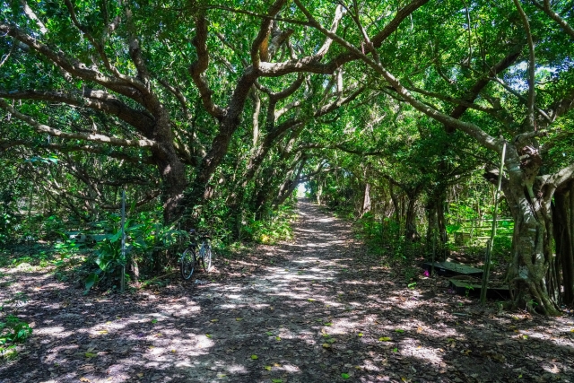 黒島　西の浜ビーチ