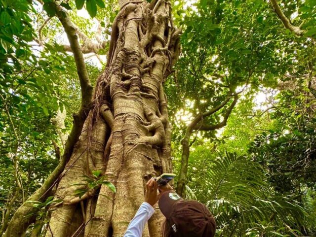 石垣島の観光で行ってはいけない場所とは？旅行中の注意点もご紹介！