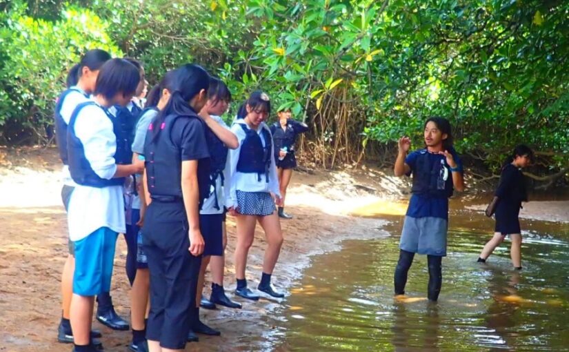 団体旅行、大人数、ボート、修学旅行、社員旅行、マングローブカヤックカヌー/SUP