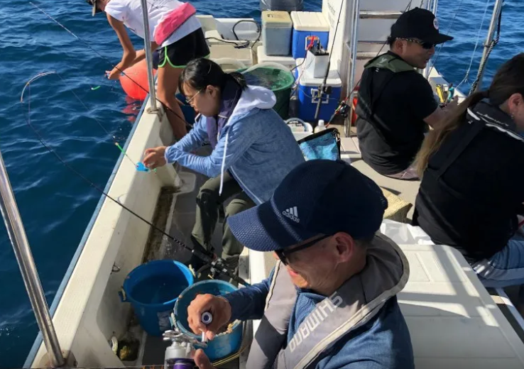 【石垣島/釣り】お子様も参加可能！サビキ釣りで沖縄の県魚グルクンを狙え☆贅沢体験フィッシング半日コース＜居酒屋で調理可能＆写真無料＞（No.557）