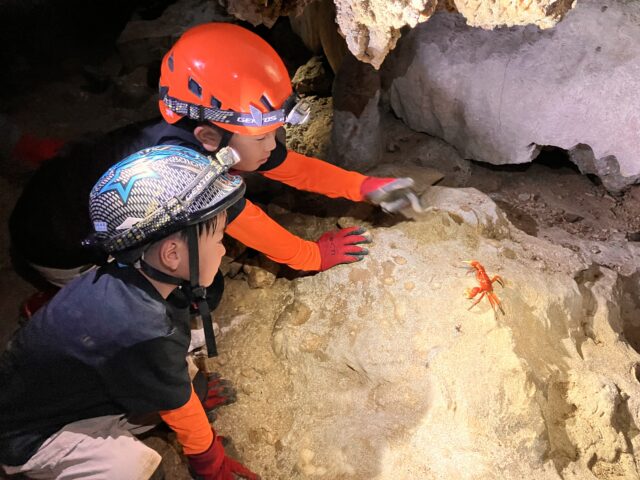 鍾乳洞、ケイビング