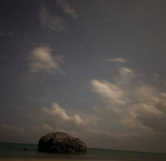 【石垣島/夜】星空＆ヤシガニナイトツアー★《当日予約OK・島人ハンターのガイド》家族旅行にもおすすめ！（No.275）