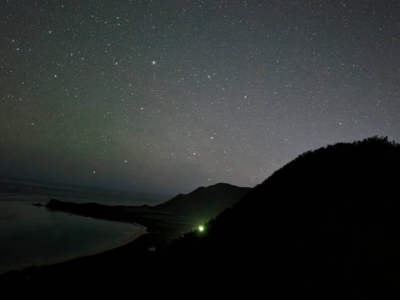 【石垣島/夜】星空＆ヤシガニナイトツアー★《当日予約OK・島人ハンターのガイド》家族旅行にもおすすめ！