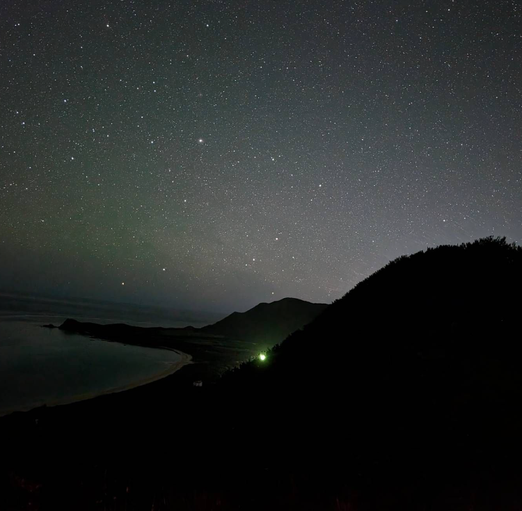 【石垣島/夜】星空＆ヤシガニナイトツアー★《当日予約OK・島人ハンターのガイド》家族旅行にもおすすめ！（No.275）