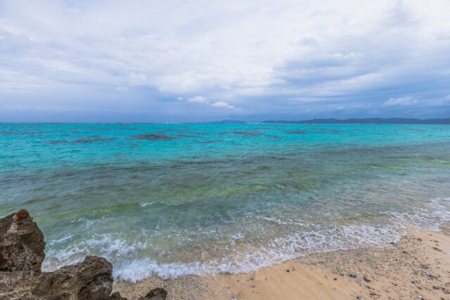 石垣島　タバガー